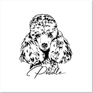 Funny Cute Poodle dog mom portrait Posters and Art